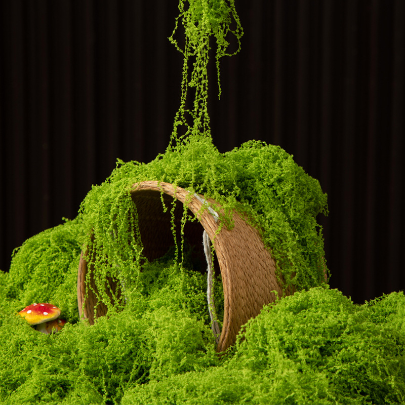 Terrarium Moss Art - 200g Eternal Life Moss DIY Crafts