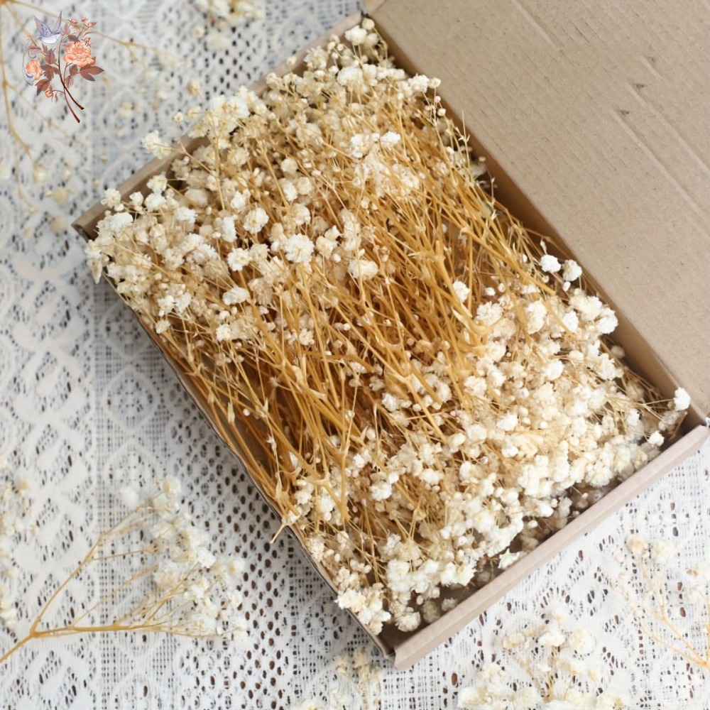 Resin Craft Ideas - 100pcs Mini Dried Baby's Breath Flowers