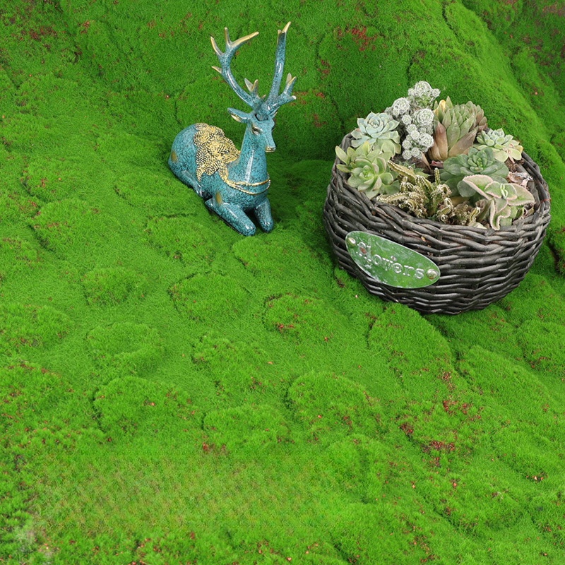 Artificial Turf Moss Simulatio - Terrarium Moss Art 评论和价格