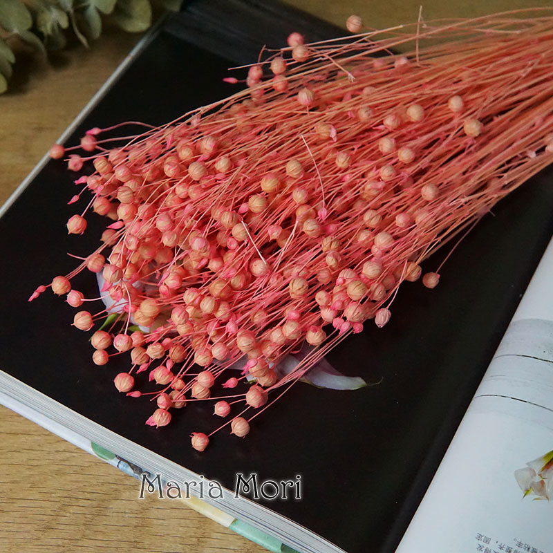 35g/Preserved Ormosia Hosiei N - Dried Flower Bulk 评论和价格