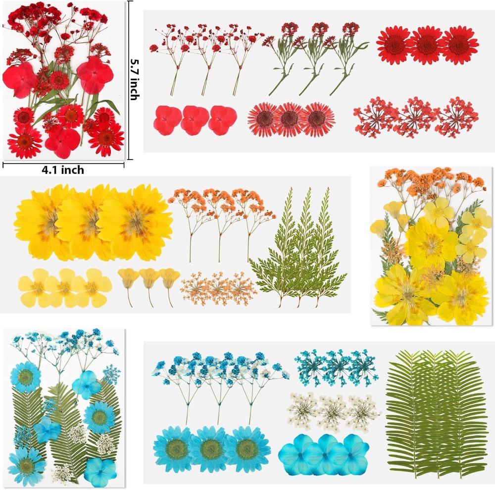 Dried Pressed Flowers for Resi - Dried Flower Bulk 评论和价格