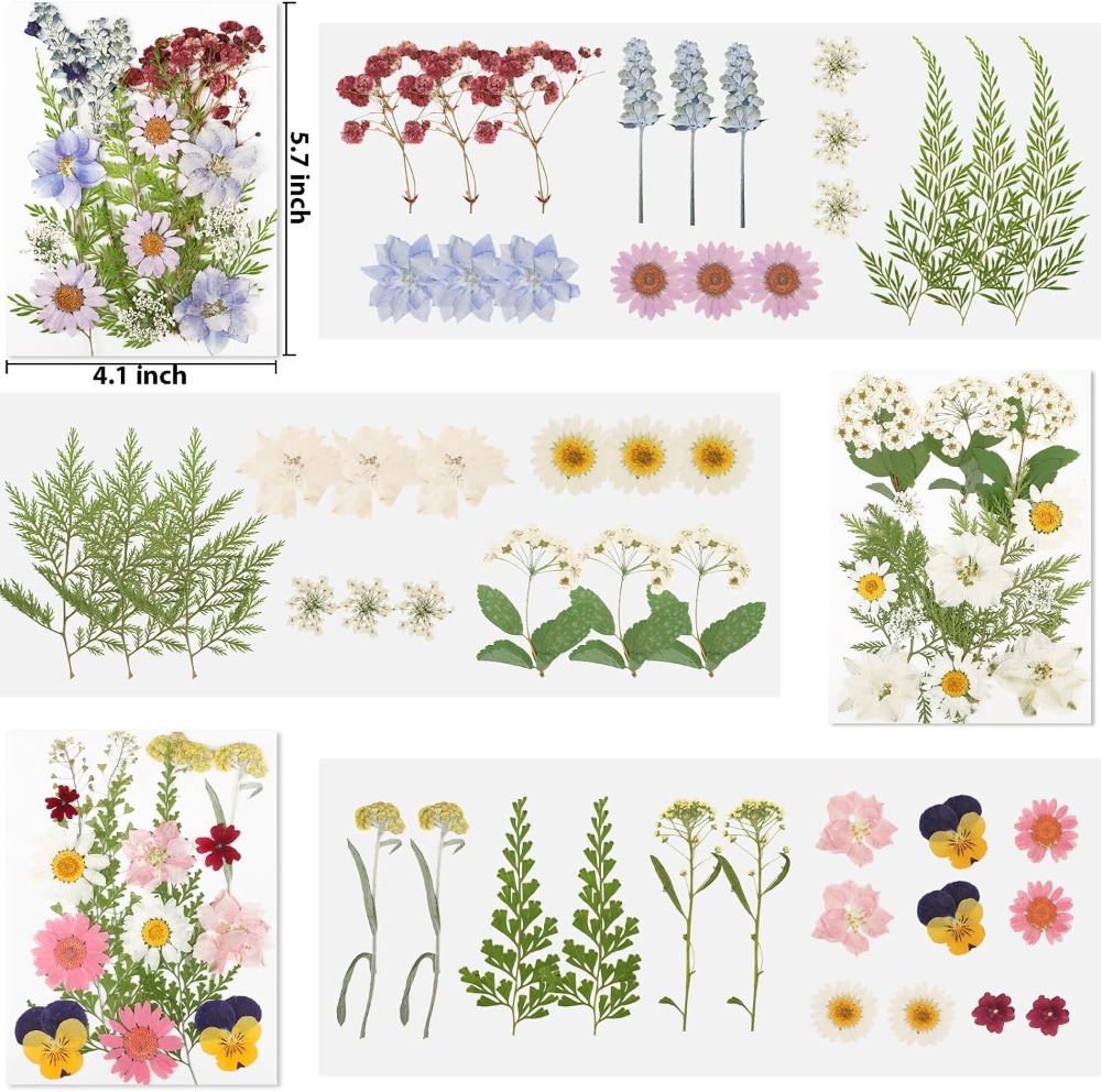 Dried Pressed Flowers for Resi - Dried Flower Bulk 评论和价格