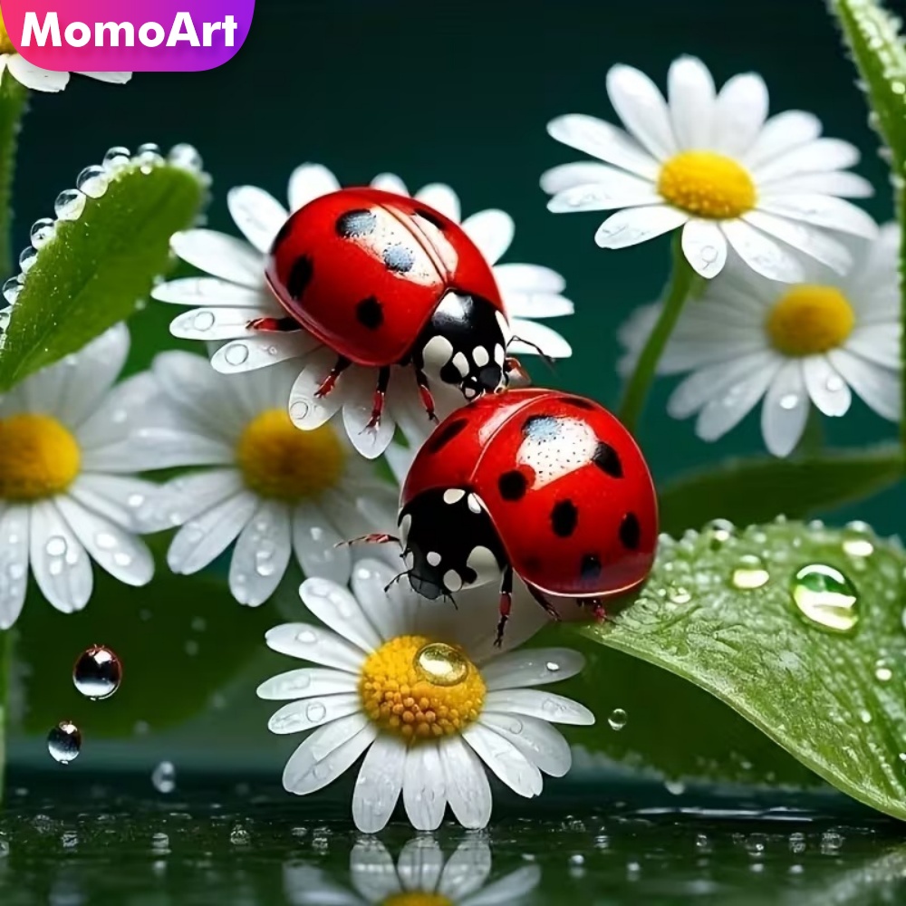 Momoart Diamond Painting Ladyb - Resin Craft For Beginners 评论和价格