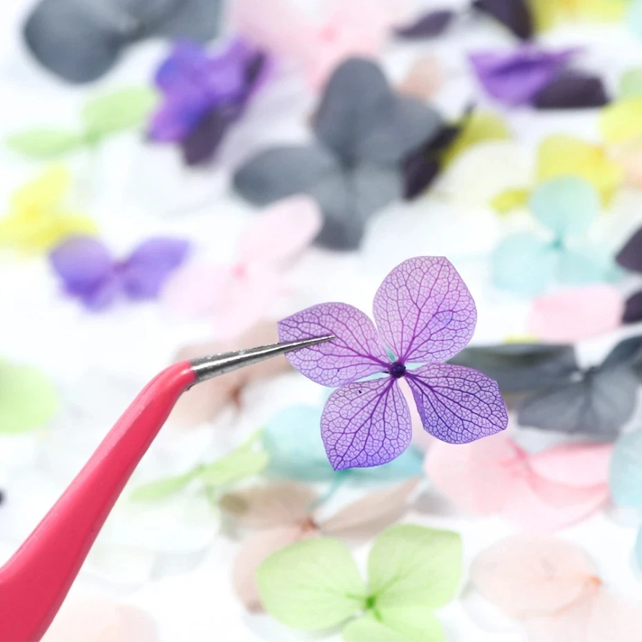 1Box Real Dried Flower Nail De - Dried Flower Bulk 评论和价格