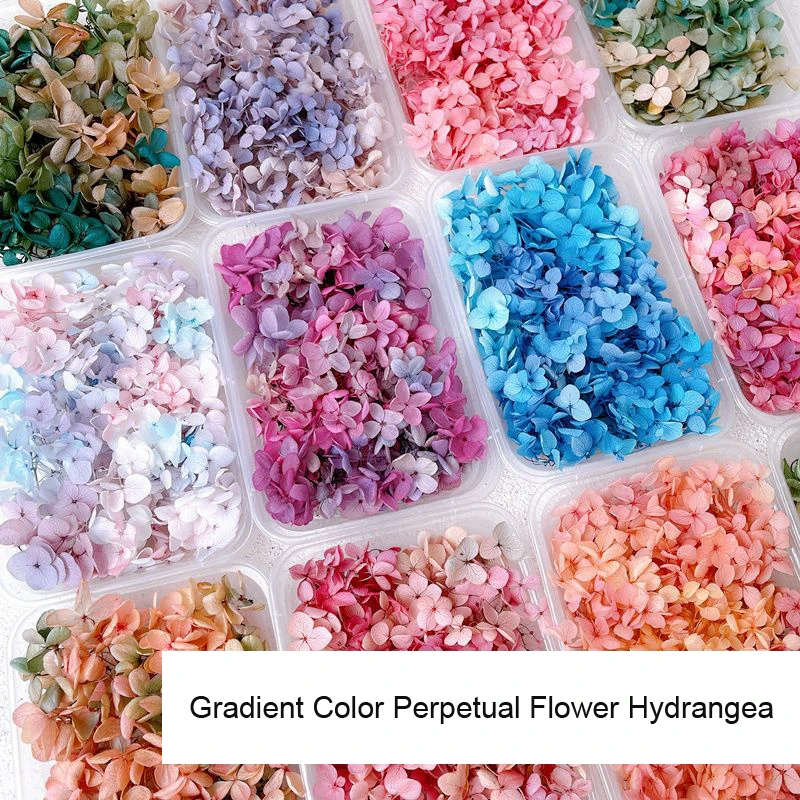 1Box Real Dried Flower Nail De - Dried Flower Bulk 评论和价格