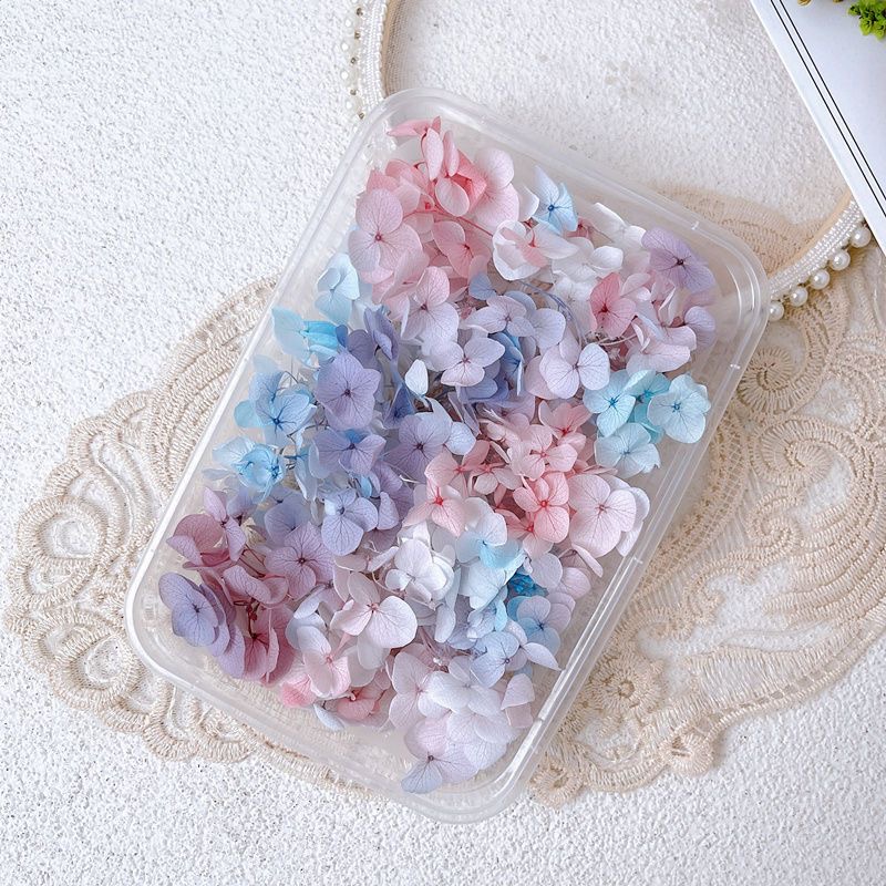 1Box Real Dried Flower Nail De - Dried Flower Bulk 评论和价格