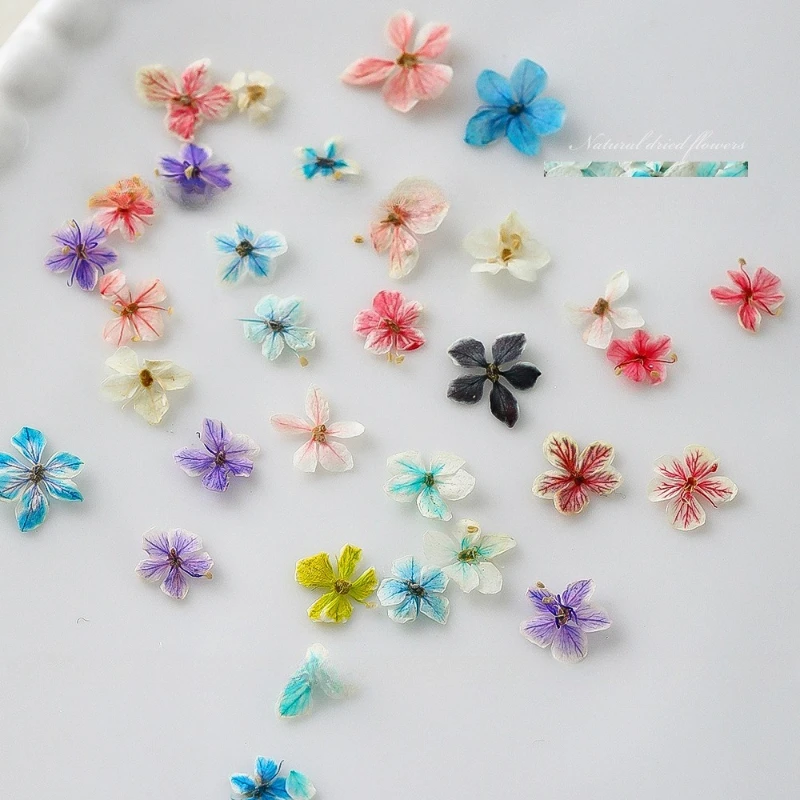 1PCS Summer Gradient Floral Na - Dried Flower Bulk 评论和价格