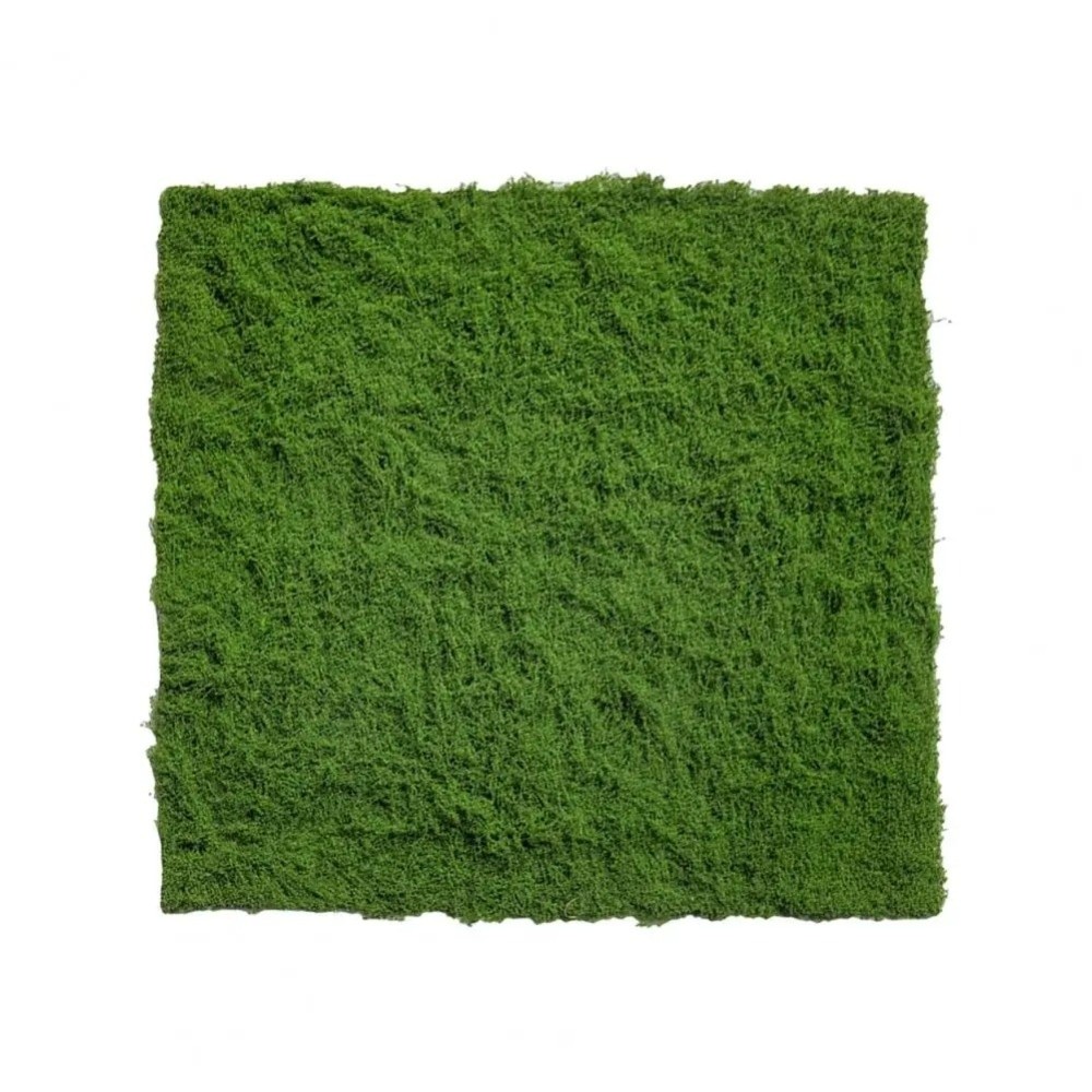 DIY Artificial Grass Rug Durab - Terrarium Moss Art 评论和价格