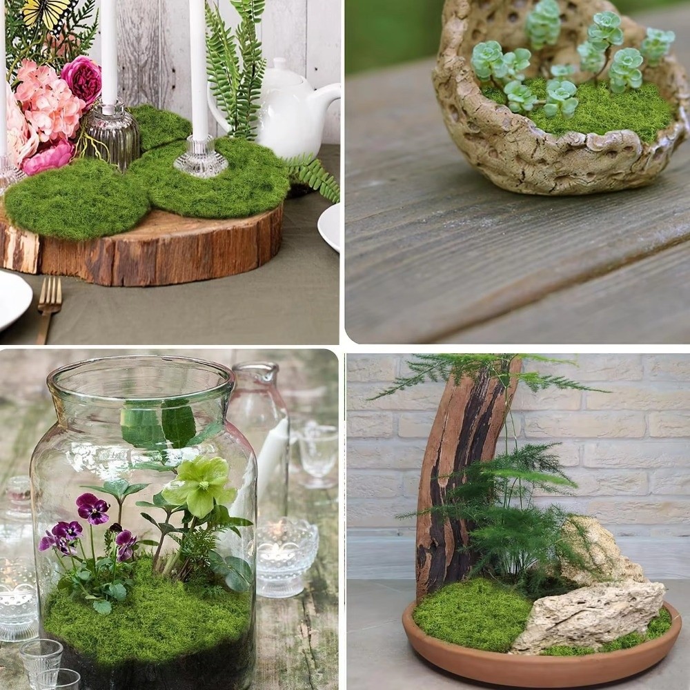 DIY Artificial Grass Rug Durab - Terrarium Moss Art 评论和价格