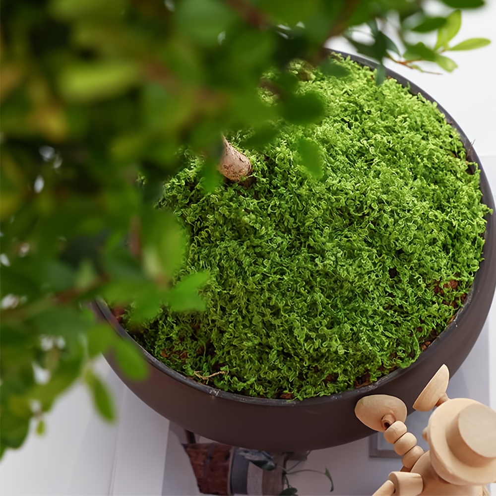 1pack Artificial Fake Moss, 1. - Terrarium Moss Art 评论和价格