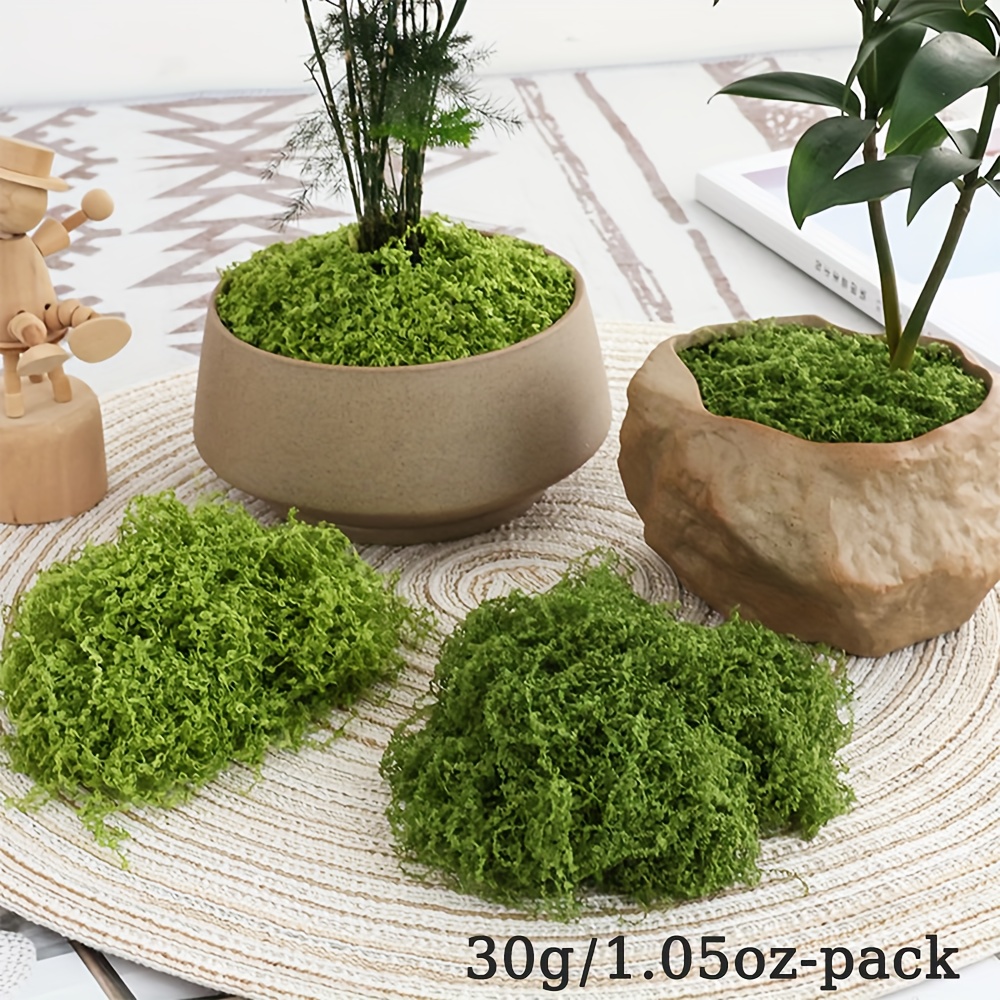 1pack Artificial Fake Moss, 1. - Terrarium Moss Art 评论和价格