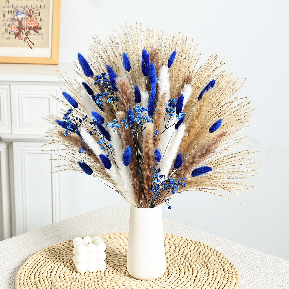 70 Stem Blue Fluffly Rabbit Ta - Dried Flower Bulk 评论和价格