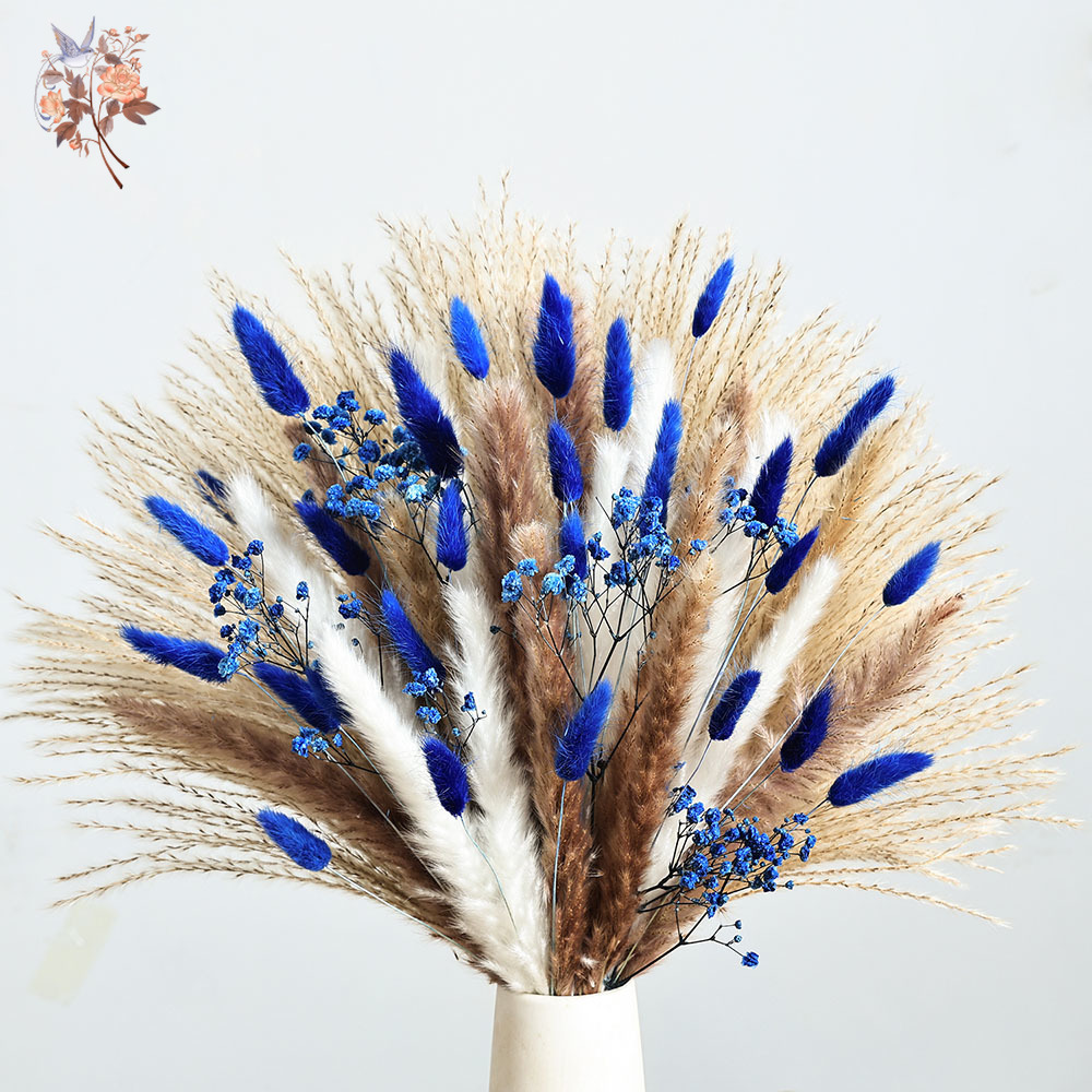 70 Stem Blue Fluffly Rabbit Ta - Dried Flower Bulk 评论和价格