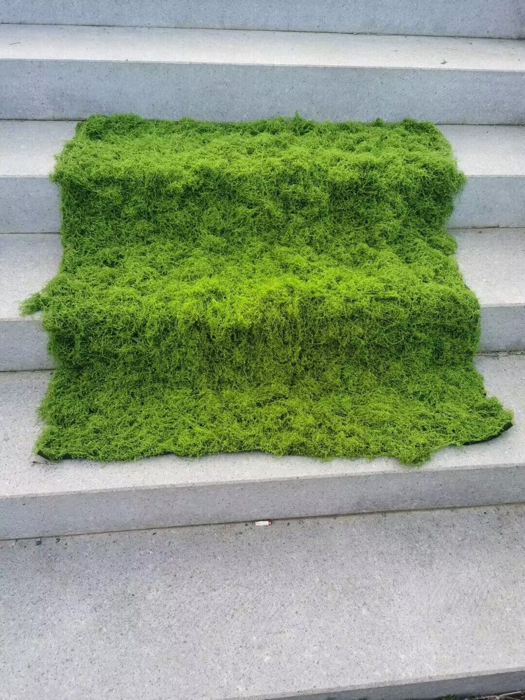 Aqumotic Artificial Turf Simul - Terrarium Moss Art 评论和价格