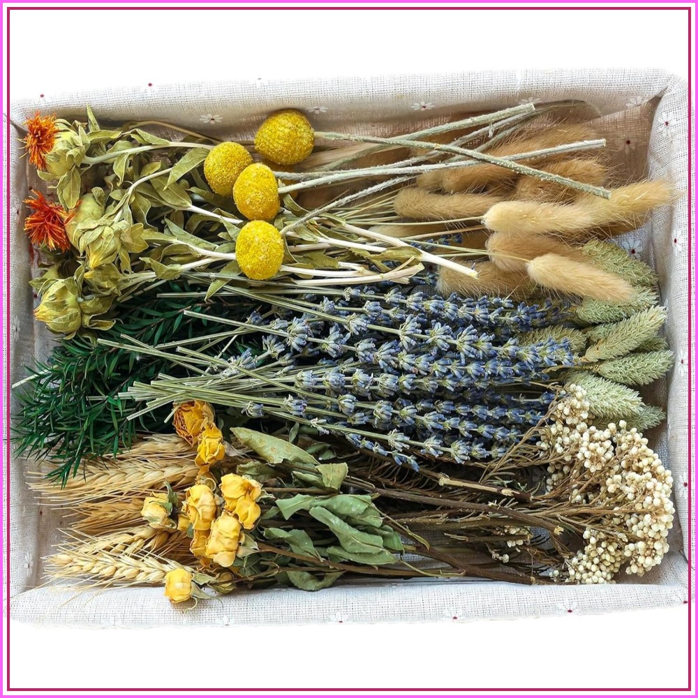 DIY Natural Dried Flower Set W - Dried Flower Bulk 评论和价格