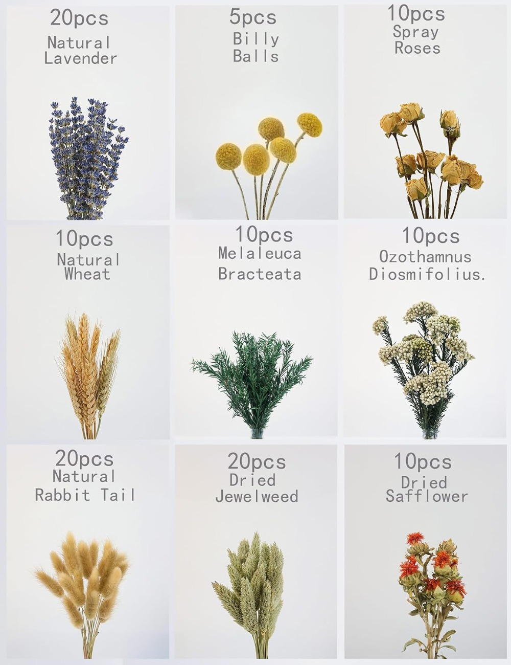 DIY Natural Dried Flower Set W - Dried Flower Bulk 评论和价格