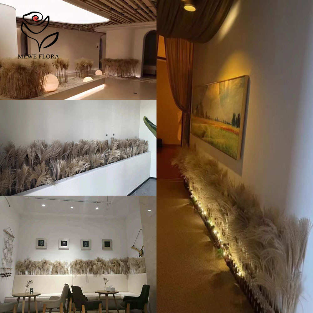 200PCS Natural Dried Fluffy Re - Dried Flower Bulk 评论和价格