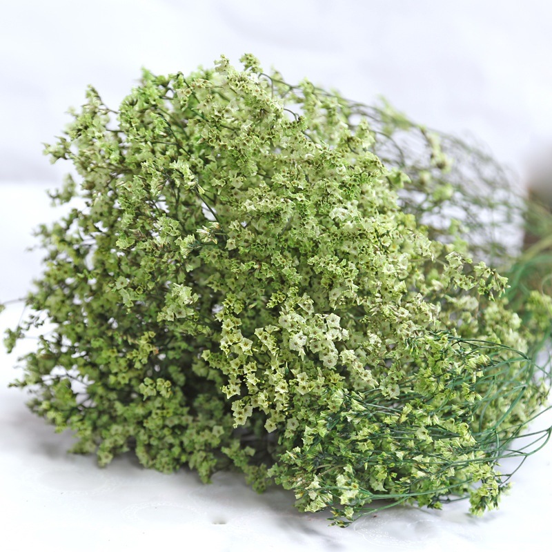 Natural Fresh Dried Preserved  - Dried Flower Bulk 评论和价格