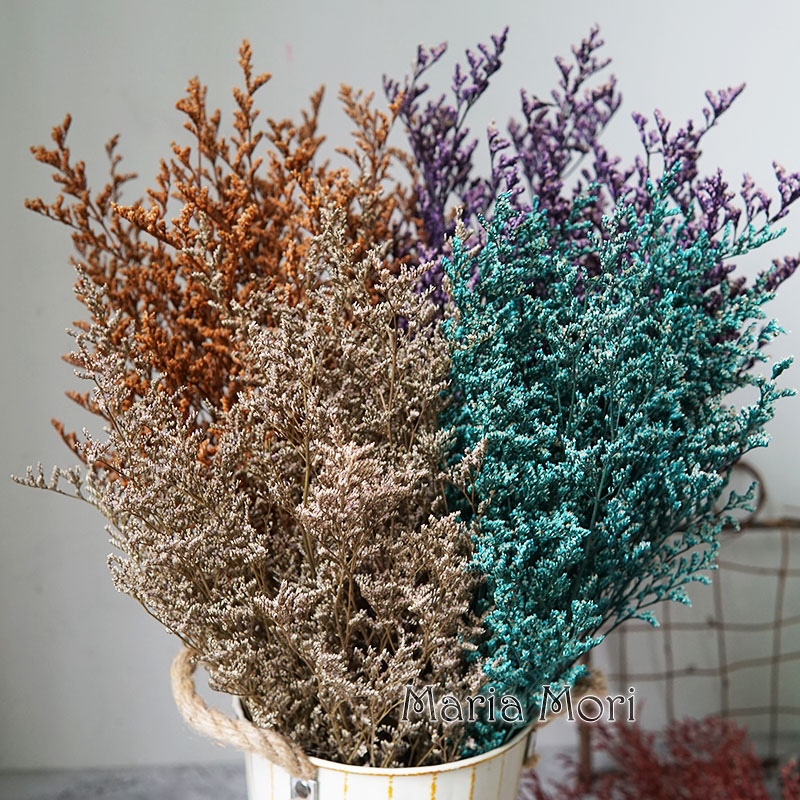 50g/Preserved Valentine's Gras - Dried Flower Bulk 评论和价格