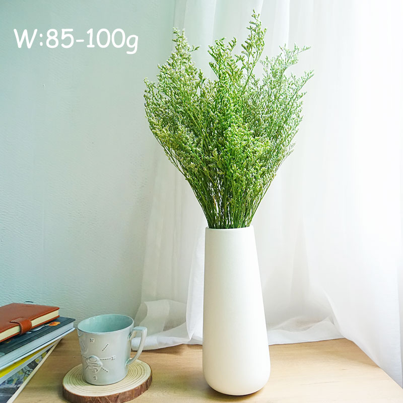 50g/Preserved Valentine's Gras - Dried Flower Bulk 评论和价格
