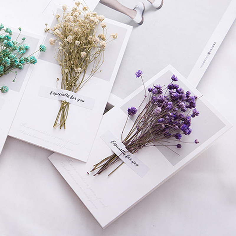 10pcs A Gift Card Wedding Invi - Dried Flower Bulk 评论和价格