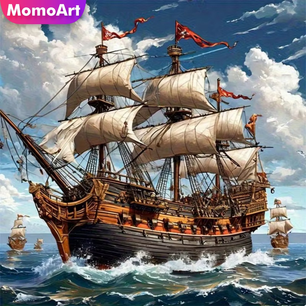 Momoart Diamond Painting Ship  - Resin Craft For Beginners 评论和价格