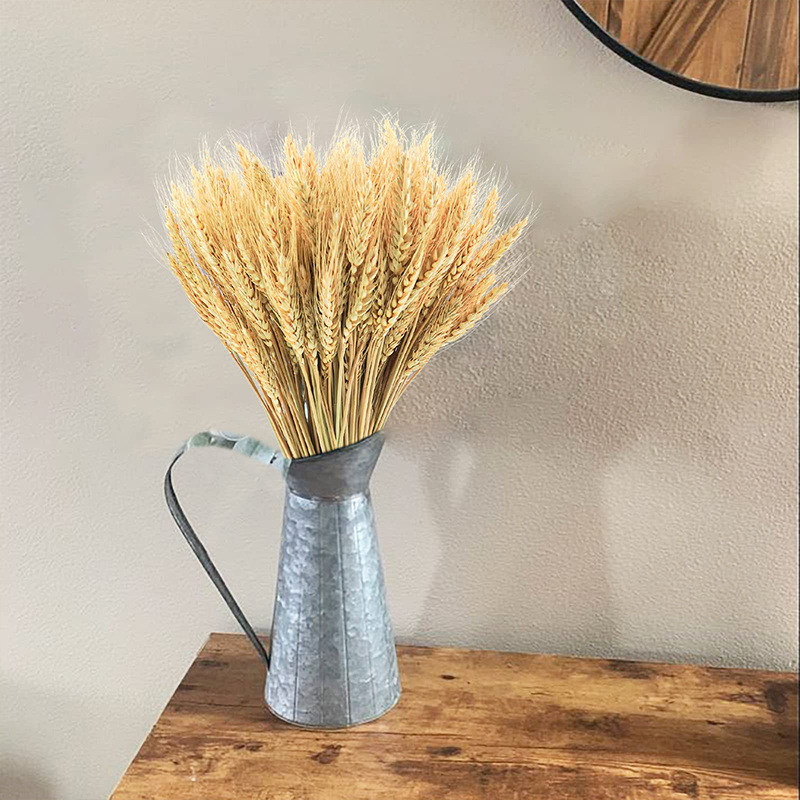 50/100/200PCS Dried Wheat Stal - Dried Flower Bulk 评论和价格