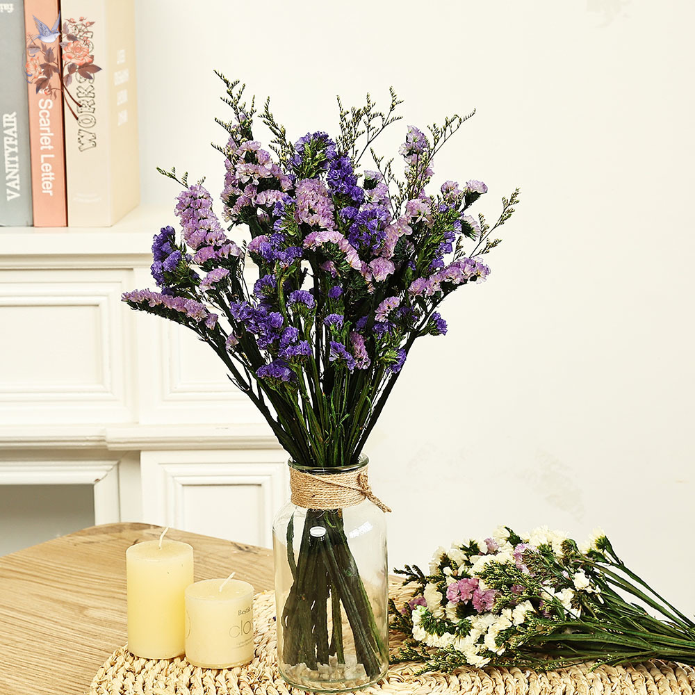 100g Natural Real Forget-me-no - Dried Flower Bulk 评论和价格
