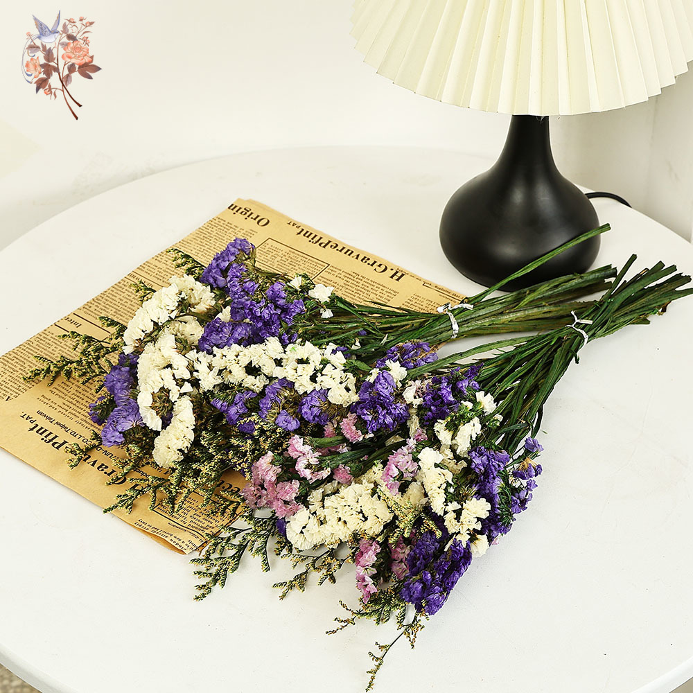 100g Natural Real Forget-me-no - Dried Flower Bulk 评论和价格