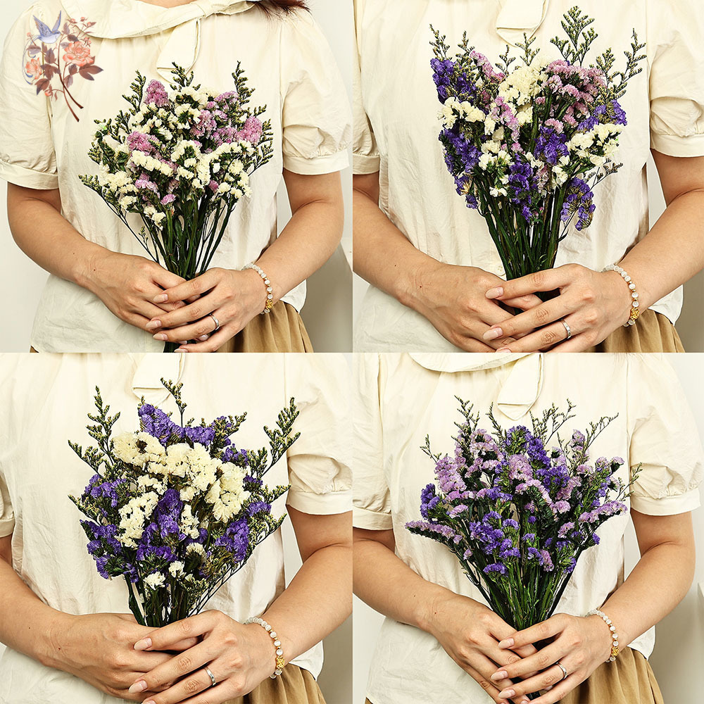 100g Natural Real Forget-me-no - Dried Flower Bulk 评论和价格