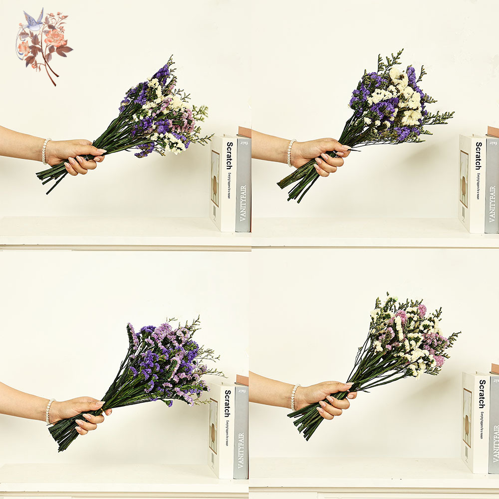 100g Natural Real Forget-me-no - Dried Flower Bulk 评论和价格