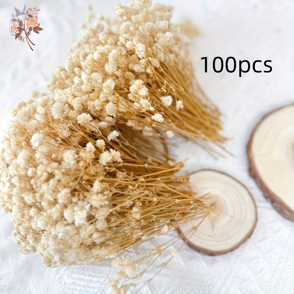 100pcs Mini Dried Baby's Breat - Resin Craft Ideas 评论和价格